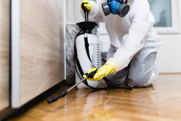 Best Wasp Removal Services  in Hamilton, MO
