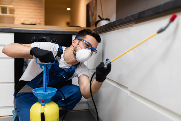 Best Affordable Pest Control Services  in Hamilton, MO