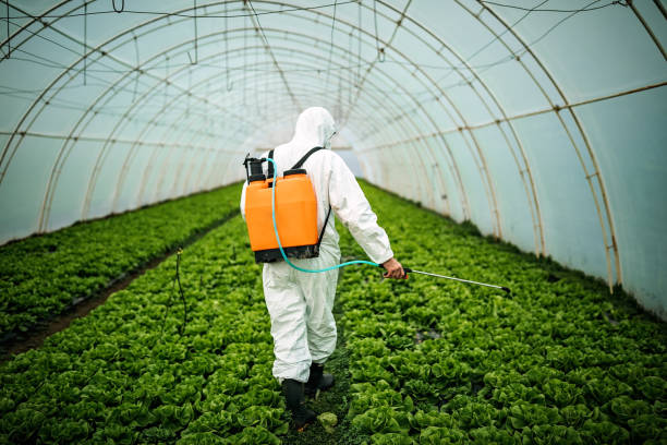 Best Affordable Pest Control Services  in Hamilton, MO