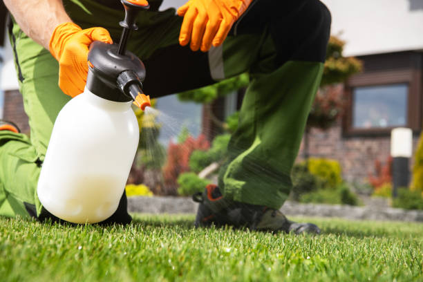 Best Flea Control Services  in Hamilton, MO