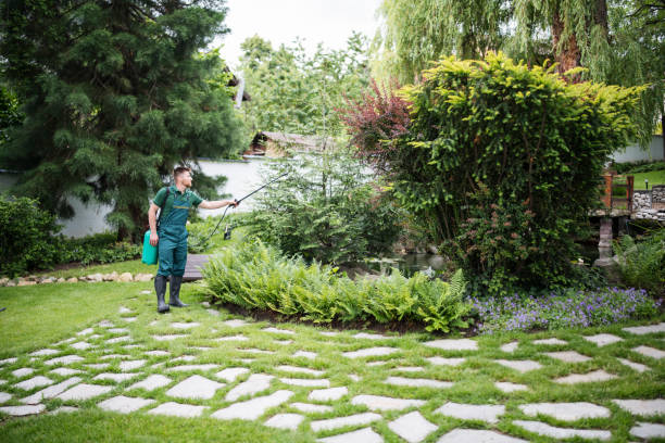 Professional Pest Control in Hamilton, MO