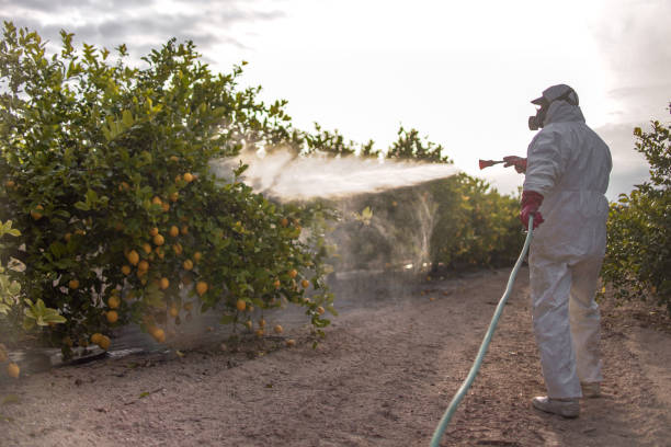Pest Control Cost in Hamilton, MO