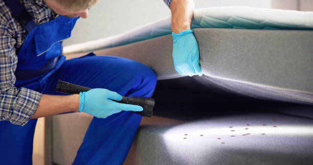 Best Commercial Pest Control Services  in Hamilton, MO