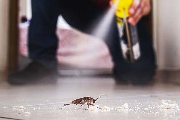 Best Affordable Pest Control Services  in Hamilton, MO