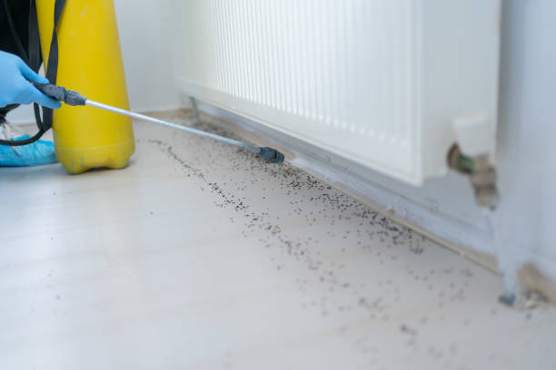 Best Local Pest Control Services  in Hamilton, MO